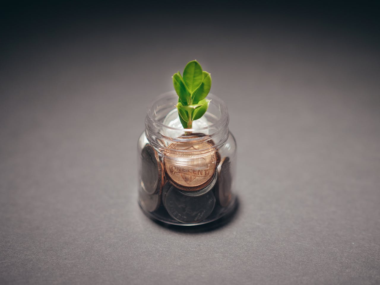 Plant on a Glass Bottle with Coins